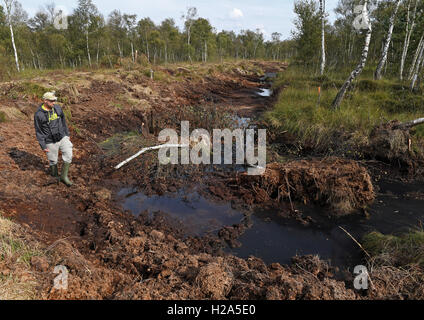 Osterholz-Scharmbeck, Germania. Il 22 settembre, 2016. Il paesaggio ecologista dal Osterholz stazione biologica, Jonas Linke, passeggiate attraverso un vecchio paludosa, tappeto erboso bagnato diga in Ahrensfelder ormeggiare di Osterholz-Scharmbeck, Germania, 22 settembre 2016. Dopo decenni di preparazioni di torba è stata completata, la ribagnatura di brughiera avrà luogo. Foto: Ingo Wagner/dpa/Alamy Live News Foto Stock