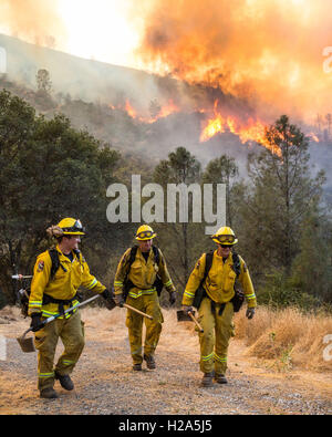 Mocassino, California, Stati Uniti d'America. 26 Sep, 2016. Settembre 26, 2016.CalFire vigili del fuoco da Murphys e Arnold, California, ritiro per Hwy 49 dopo l'eliminazione di zone vicine strutture private durante le paludi Fire. Il fuoco ha iniziato circa 12:30 pm e brucia vicino il mocassino Power Plant e Hetch Hetchy condotti lungo le autostrade 120 e 49 in Sierra Nevada pedemontana. Mocassino è vicino alla città di Groveland. Hetch Hetchy fornisce acqua alla città di San Francisco. Credito: Tracy Barbutes/ZUMA filo/Alamy Live News Foto Stock