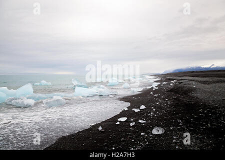 Splendida spiaggia a sud dell'Islanda con sabbia nera della lava e iceberg Foto Stock