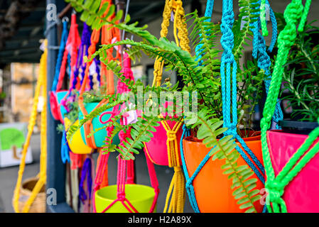 Vasi da fiori colorati appesi su un muro a Londra, Regno Unito Foto stock -  Alamy