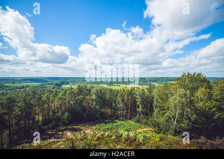 Panorama su alberi e prati verdi nel cielo blu Foto Stock