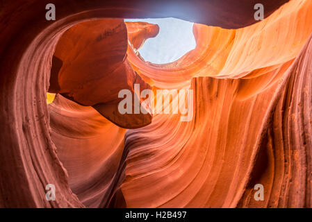 Colorata formazione di arenaria, luce incidente, inferiore Antelope Canyon, Slot Canyon, Pagina, Arizona, Stati Uniti d'America Foto Stock