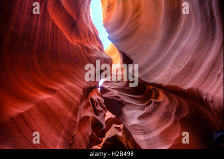 Colorata formazione di arenaria, luce incidente, inferiore Antelope Canyon, Slot Canyon, Pagina, Arizona, Stati Uniti d'America Foto Stock