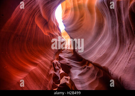 Colorata formazione di arenaria, luce incidente, inferiore Antelope Canyon, Slot Canyon, Pagina, Arizona, Stati Uniti d'America Foto Stock