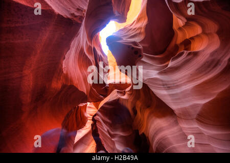 Colorata formazione di arenaria, luce incidente, inferiore Antelope Canyon, Slot Canyon, Pagina, Arizona, Stati Uniti d'America Foto Stock