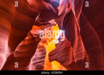 Colorata formazione di arenaria, luce incidente, inferiore Antelope Canyon, Slot Canyon, Pagina, Arizona, Stati Uniti d'America Foto Stock