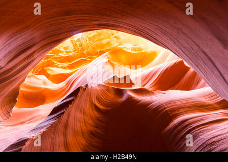 Colorata formazione di arenaria, luce incidente, inferiore Antelope Canyon, Slot Canyon, Pagina, Arizona, Stati Uniti d'America Foto Stock