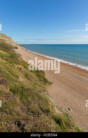 Spiaggia Eype Dorset Regno Unito Inghilterra Jurassic Coast a sud di Bridport e vicino al West Bay Foto Stock