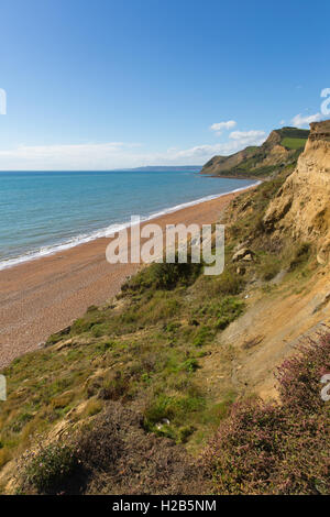 Spiaggia Eype Dorset Regno Unito Inghilterra Jurassic Coast a sud di Bridport e vicino al West Bay Foto Stock