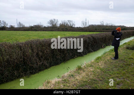 Donna birdwatching vicino reen sui livelli di Gwent vicino a Newport, South Wales, Regno Unito Foto Stock