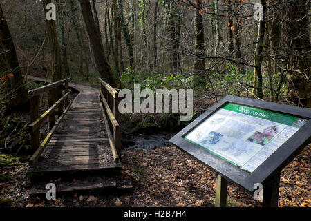 Informazioni segno, Coed y Bedw riserva naturale vicino Taff ben, Cardiff, South Glamorgan Galles del Sud, Regno Unito Foto Stock