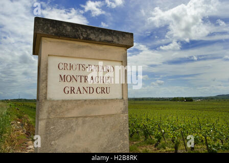 BATARD MONTRACHET entrata in pietra pilastro al Criots-Batard Montrachet Grand Cru vigna, Chassagne-Montrachet, Côte d'Or, Francia. Foto Stock