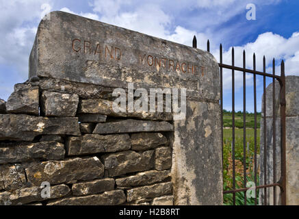 LE MONTRACHET cancello di ingresso al bel Grand Montrachet vigna Puligny-Montrachet, Côte d'Or, Francia. [Côte de Beaune Grand Cru] Foto Stock