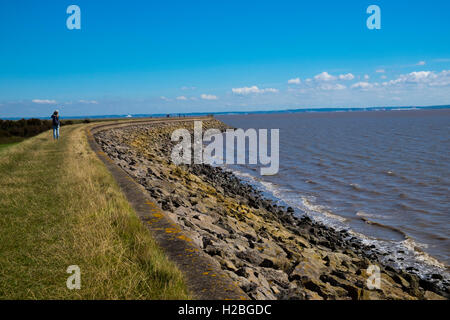 Walker sul sentiero costiero e parete del mare, Goldcliff vicino a Newport, Monmouthshire, Wales, Regno Unito, Severn Estuary Foto Stock