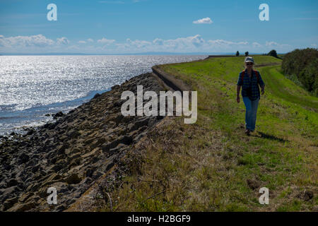 Walker sul sentiero costiero e parete del mare, Goldcliff vicino a Newport, Monmouthshire, Wales, Regno Unito, Severn Estuary Foto Stock