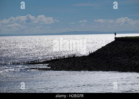 Walker sul sentiero costiero e parete del mare, Goldcliff vicino a Newport, Monmouthshire, Wales, Regno Unito, Severn Estuary Foto Stock