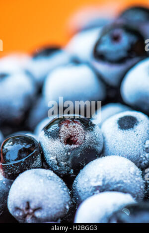 Congelati bacche di Aronia in una ciotola, macro shot Foto Stock