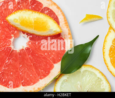 Sfondo di agrumi fette, con i limoni e le arance e pompelmi. Su sfondo bianco Foto Stock