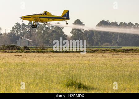 Un' antenna crop duster spruzza un campo nelle zone rurali Eunice, Louisiana. Foto Stock