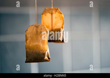 Bustine di tè asciugando fuori in una cucina per il secondo utilizzo. Foto Stock