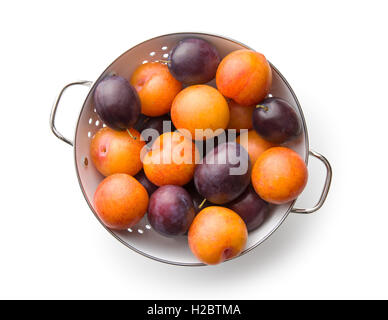 Giallo e viola le prugne di scolapasta. Vista dall'alto. Foto Stock