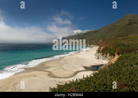 Spiaggia, Pacific autostrada costiera, vicino Monterey, California, Stati Uniti d'America Foto Stock
