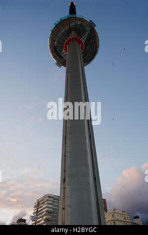 Brighton Il i360, le più alte del mondo in movimento torre di osservazione, sorge ad un altezza di 162 metri che offre ai visitatori panorami mozzafiato. Foto Stock