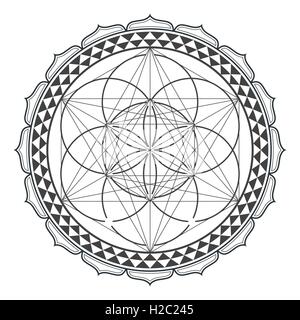 Vector contour design monocromatico mandala geometria sacra immagine seme di vita metatron lotus isolato sfondo bianco Illustrazione Vettoriale