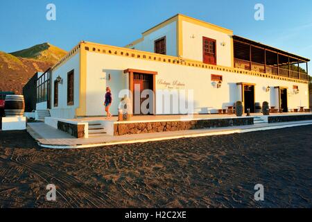 Lanzarote, Isole Canarie. Bodegas Rubicone vino Vigna visitatore shop presso La Geria Foto Stock