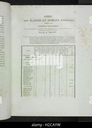 Essai d'une reponse a la questione de prix proposee en 1850 par l'Academie des sciences pour le Concours de 1853, et puis remise pour celui de 1856, savoir Foto Stock