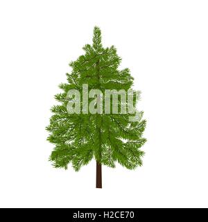 Lussureggiante verde abete rosso. Rami di abete. Isolato su bianco illustrazione Illustrazione Vettoriale