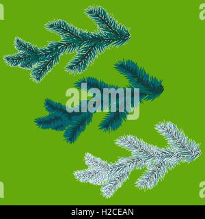 Un set di blu rami di abete rosso. Albero di natale - un simbolo. I rami di abete rosso nel gelo. Illustrazione Vettoriale Illustrazione Vettoriale