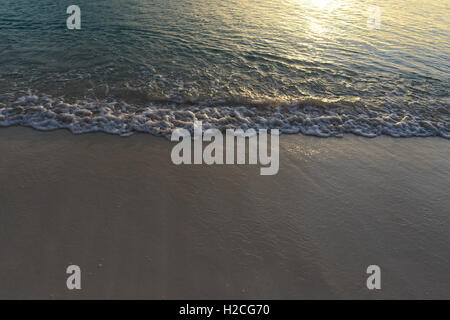 Spiaggia e acqua sull'isola Grand Cayman Foto Stock