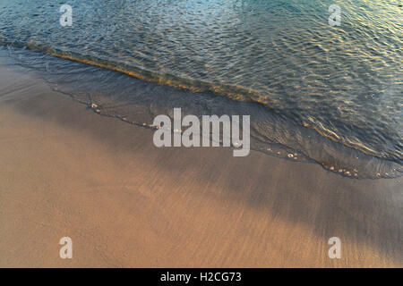 Spiaggia e acqua sull'isola Grand Cayman Foto Stock