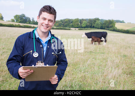 Ritratto di Vet in campo con il bestiame in background Foto Stock