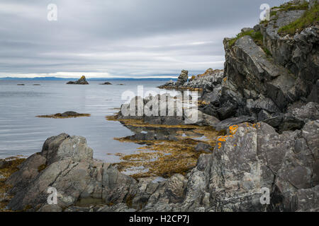 Il piccolo villaggio di pescatori di Hibbs Cove, Terranova e Labrador, Canada. Foto Stock