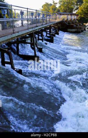 Weir sul Fiume Tamigi a Abingdon bloccare Foto Stock