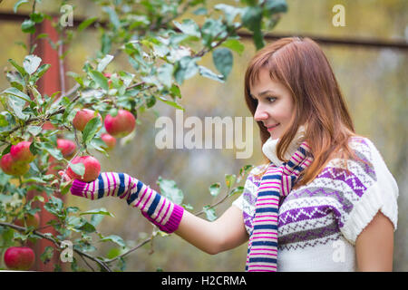 Bella bruna donna con autunno prodotto apple vicino a tree Foto Stock