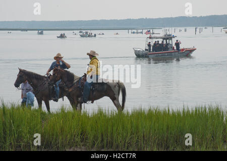 Saltwater cowboy e ai loro cavalli di prendere una pausa di penning e arrotondamento il pony selvatici come essi arrivano sulla riva dopo aver completato la 91Pony annuale nuoto attraverso il canale da Assateague Island a Chincoteague Island Luglio 27, 2016 in Chincoteague, Virginia. Foto Stock