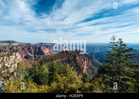 Vista del North Rim, il Parco Nazionale del Grand Canyon, Arizona, Stati Uniti d'America Foto Stock