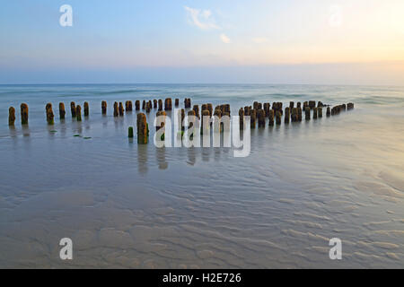 Pennelli ricoperte da alghe, Rantum Beach, Sylt, Nord Isole Frisone, Frisia settentrionale, Schleswig-Holstein, Germania Foto Stock