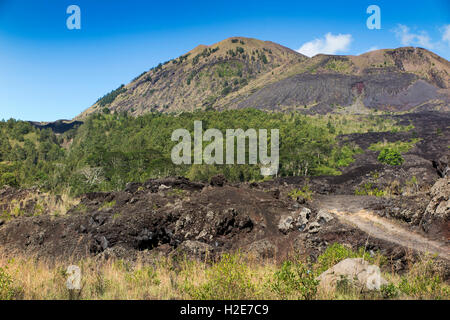 Indonesia, Bali, Kedisan, Gunung Batur, flusso di lava dal 1974 eruzione Foto Stock