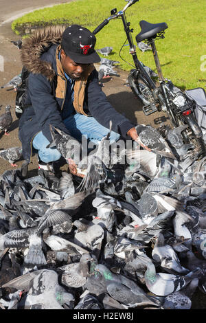 Glasgow, Scotland, Regno Unito. 27 Settembre, 2016. YAGOUB ABDULLAH, 25 anni, studente e (legale) profughi dal Sudan, la maggior parte delle volte il pranzo, può essere visto in George Square, Glasgow, alimentazione della città piccioni con grani di riso egli acquista dal suo archivio locale. Egli sostiene che i piccioni riconoscono ora lui quando ha cicli in piazza, gregge intorno a lui e sono diventati così tame che essi appollaiarsi su di lui mentre si alimenta. Credito: Findlay/Alamy Live News Foto Stock