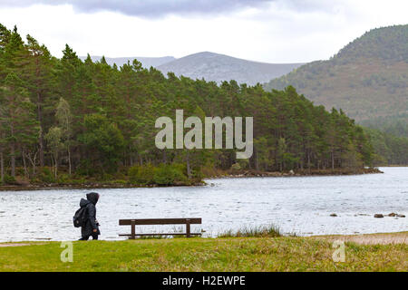 Un visitatore a Loch un Eilein nelle highlands scozzesi avvolge calde durante una passeggiata intorno al Loch Foto Stock