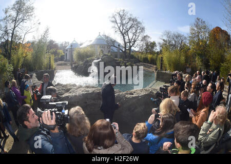 Monaco di Baviera, Germania. 28 ott 2016. Il direttore del Tierpark Hellabrunn zoo, Rasem Baban, spiega il nuovo edificio alla stampa durante la fase di apertura della nuova casa di elefante a Tierpark Hellabrunn di Monaco di Baviera, Germania, il 28 ottobre 2016. Foto: FELIX HOERHAGER/dpa/Alamy Live News Foto Stock