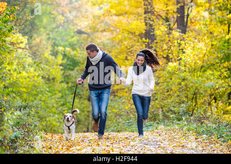 Bella coppia Giovane con cane che corre nella foresta di autunno Foto Stock