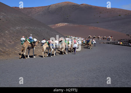 Camel Safari in Lanzarote isole Canarie.Vista dei turisti che si godono una cavalcata su un cammello Foto Stock
