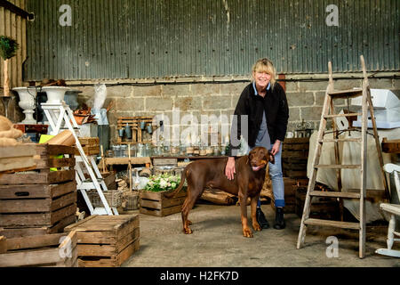 Una donna pacche una grande marrone cane pet Foto Stock