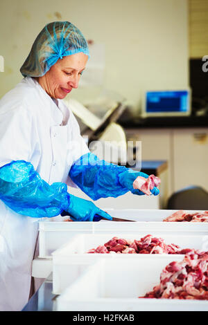 La donna lavora in una macelleria, in piedi di fron t di vassoi di plastica, indossare indumenti protettivi e guanti, il taglio di carne. Foto Stock