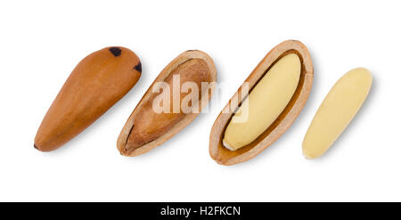 Pietra semi di pino, nutshells e noci sgusciate su sfondo bianco. Pinophyta semi in una fila. Close up macro foto di cibo. Foto Stock